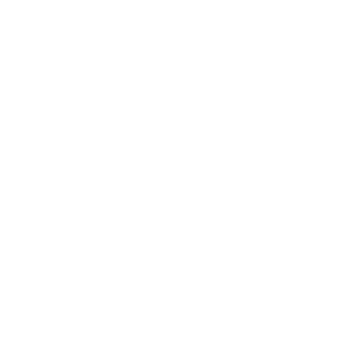 Shady Views NYC logo